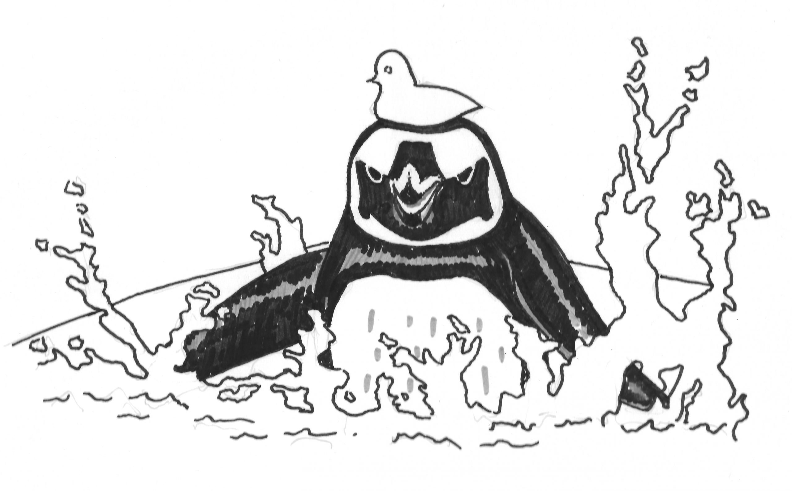 Poncho The Penguin